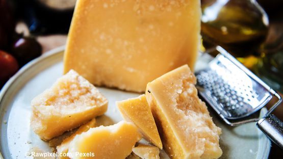 Käse Für Hunde nur in kleinen Mengen