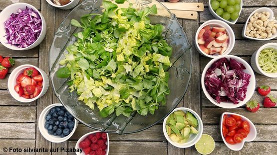 Superfoods für Vierbeiner und was sie nicht fressen sollten